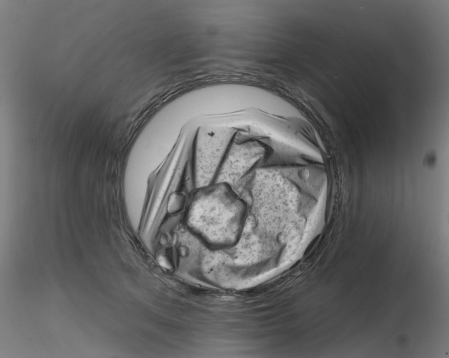 X0000116340513200912221444