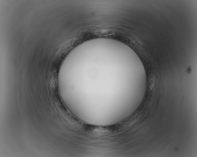 X0000116340515200912221444