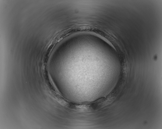 X0000116340516200912221444