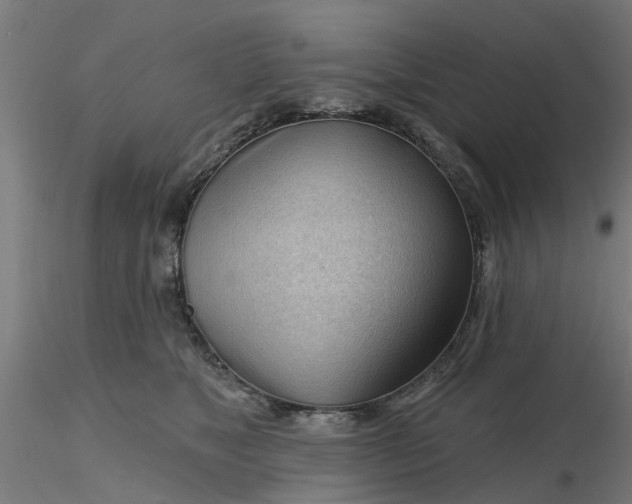 X0000116340517200912221444