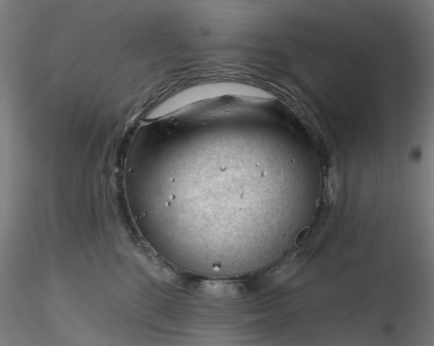 X0000116340520200912221443