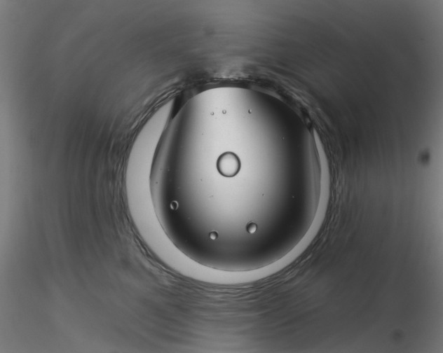 X0000116340521200912221443