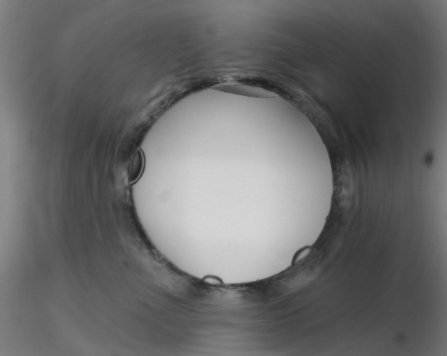 X0000116340523200912221443