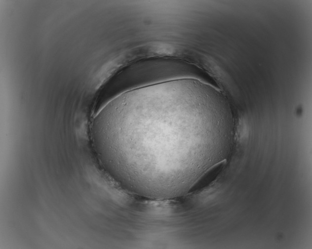 X0000116340524200912221443