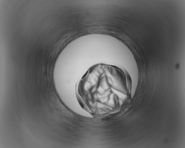 X0000116340525200912221443