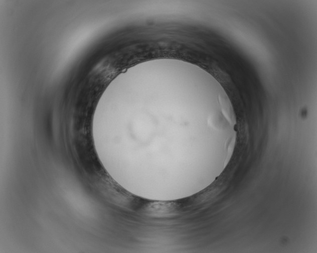 X0000116340526200912221443