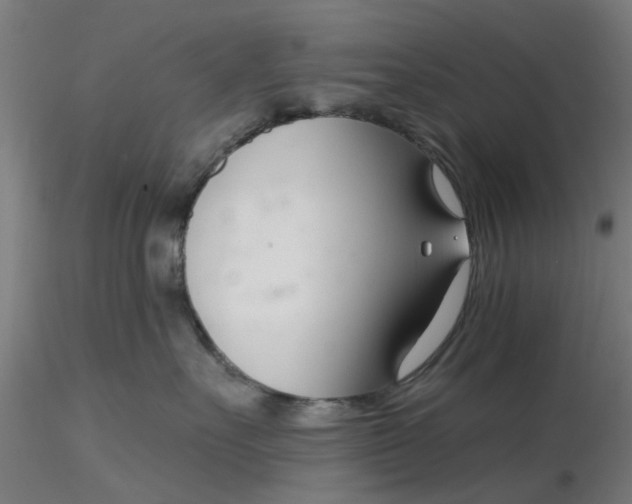 X0000116340527200912221443