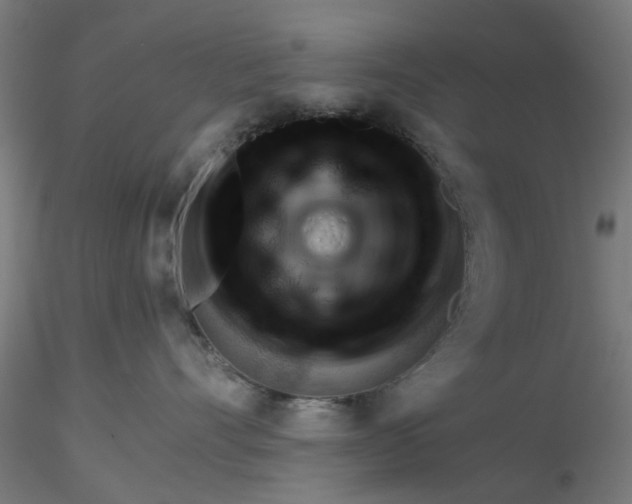 X0000116340528200912221443