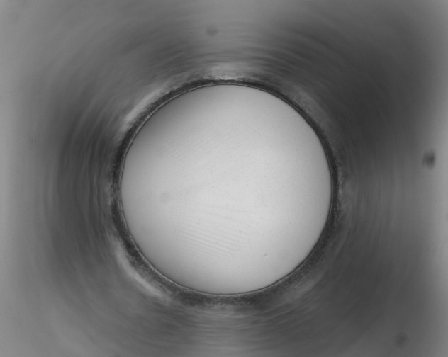 X0000116340530200912221443