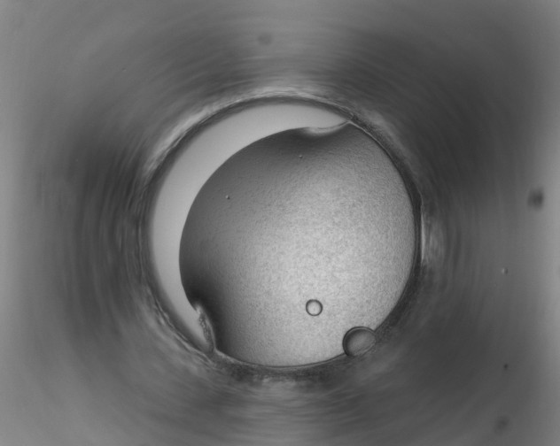 X0000116340531200912221443