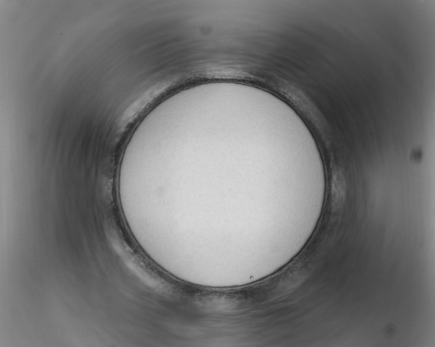 X0000116340533200912221443