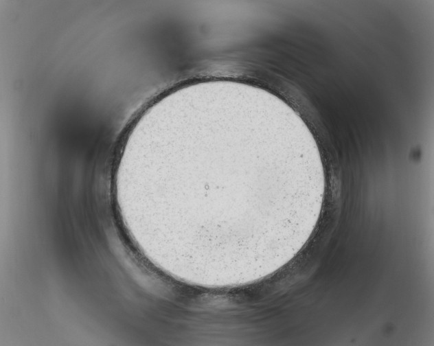 X0000116340534200912221443