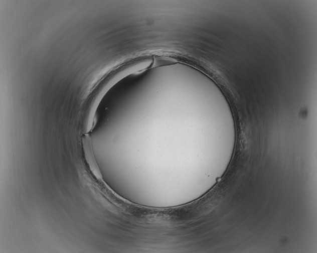 X0000116340535200912221443