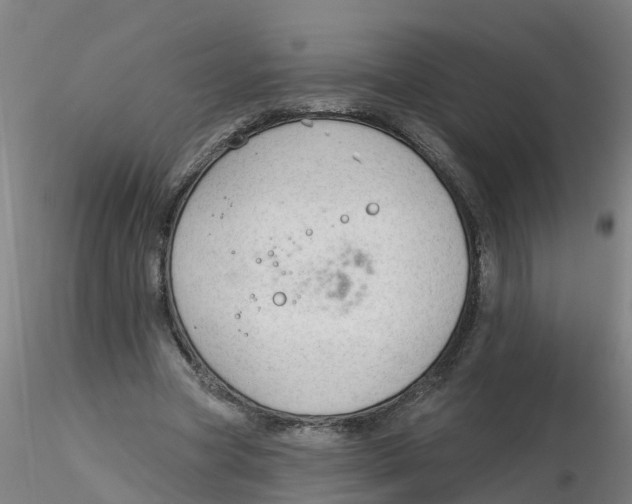 X0000116340537200912221443