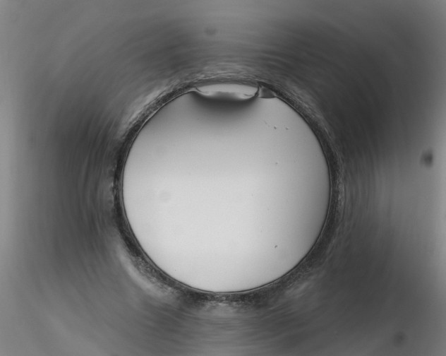 X0000116340538200912221443