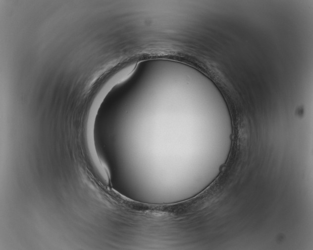 X0000116340539200912221443