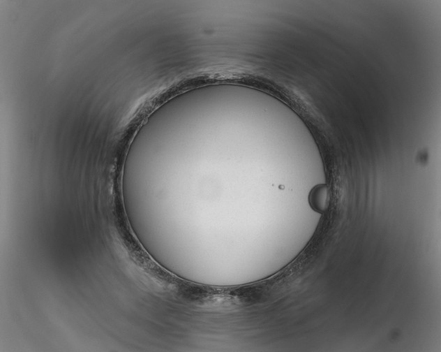 X0000116340543200912221443