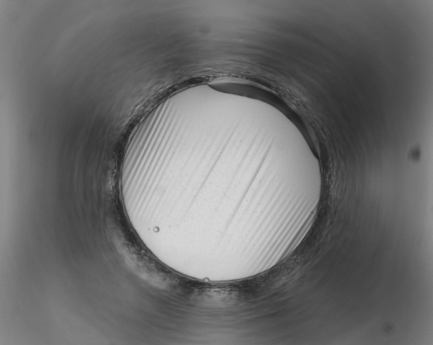 X0000116340546200912221443