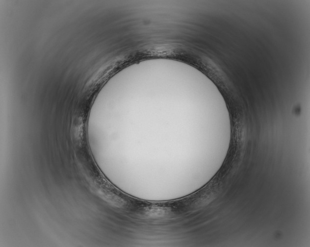 X0000116340549200912221443