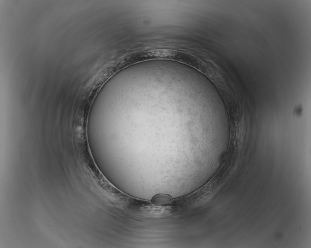 X0000116340553200912221443