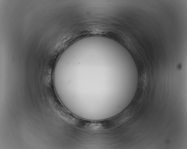 X0000116340554200912221443