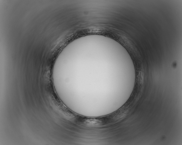 X0000116340557200912221443