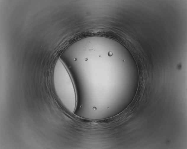 X0000116340558200912221443