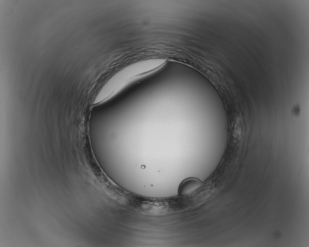 X0000116340559200912221443