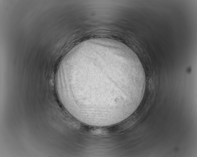 X0000116340561200912221443