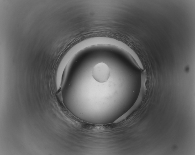 X0000116340562200912221443