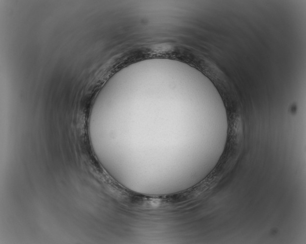 X0000116340565200912221443