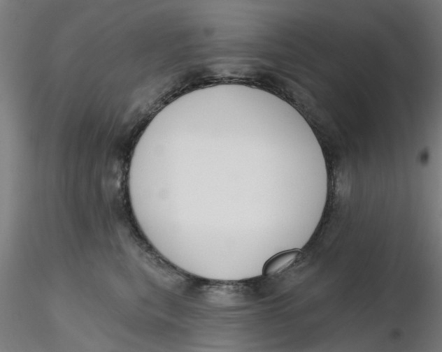 X0000116340567200912221443