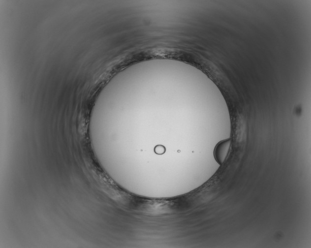 X0000116340569200912221443