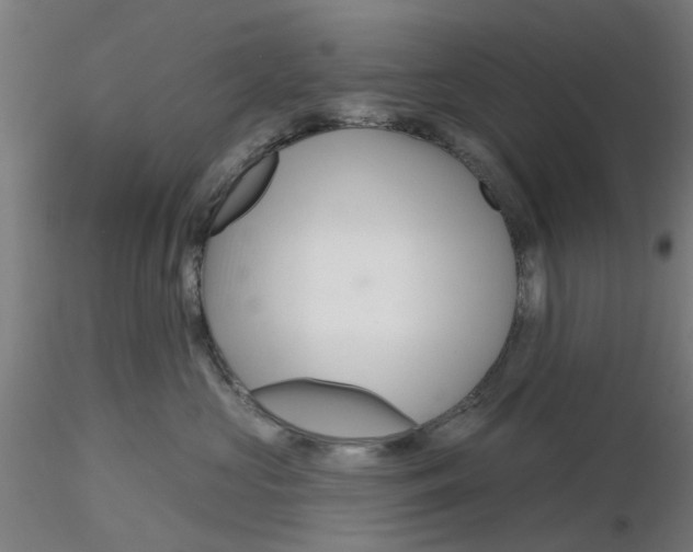 X0000116340573200912221443