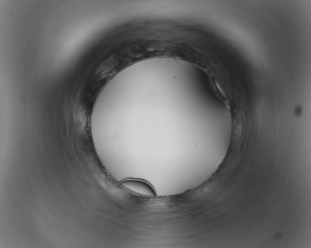 X0000116340574200912221443