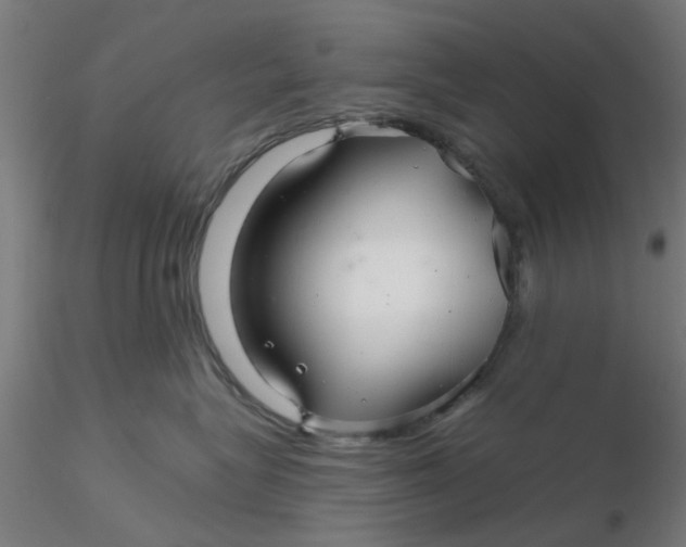 X0000116340575200912221443