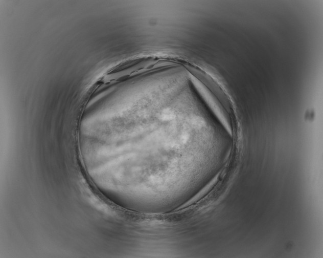 X0000116340577200912221443