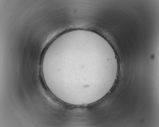 X0000116340578200912221443