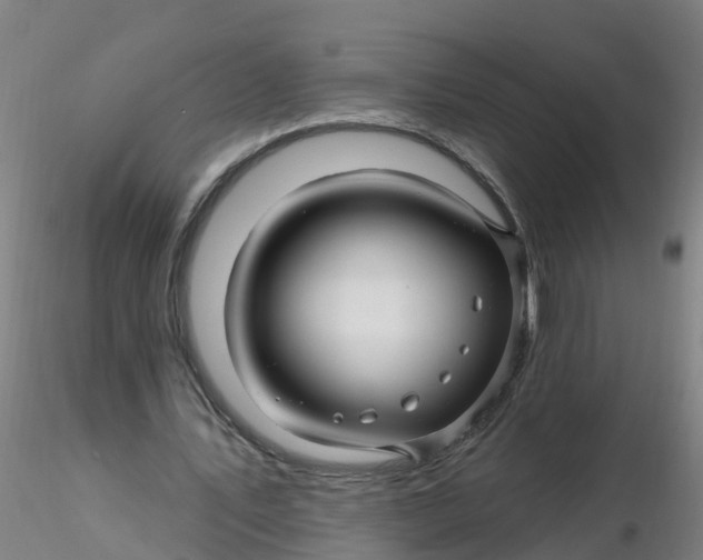 X0000116340579200912221443