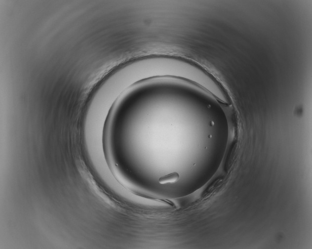 X0000116340581200912221443