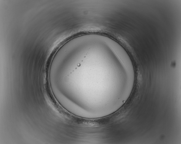 X0000116340582200912221443