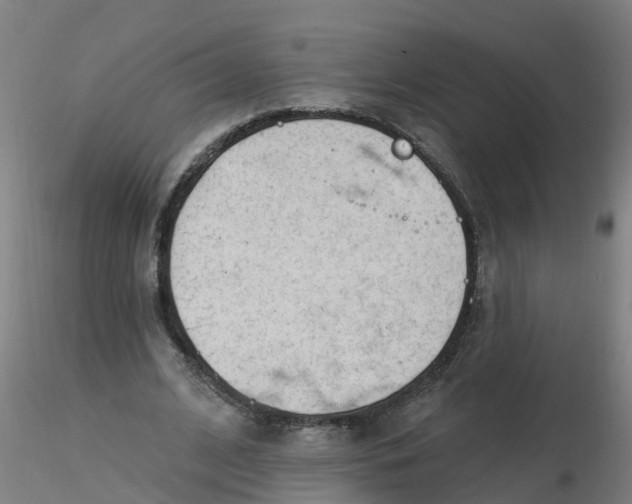 X0000116340584200912221443