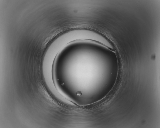 X0000116340585200912221443