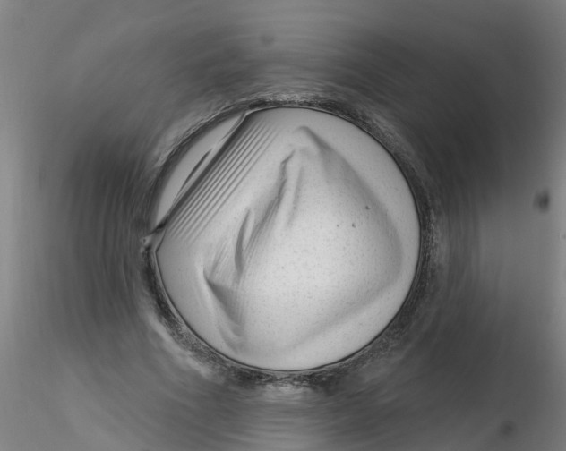 X0000116340586200912221443