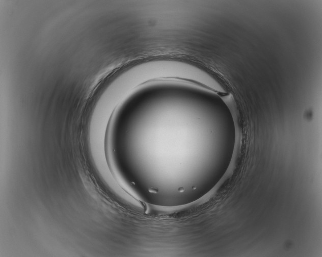 X0000116340587200912221443