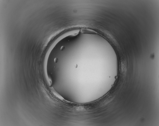 X0000116340588200912221443