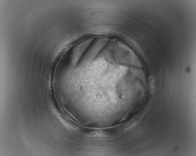 X0000116340589200912221443