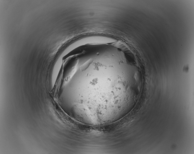 X0000116340592200912221442