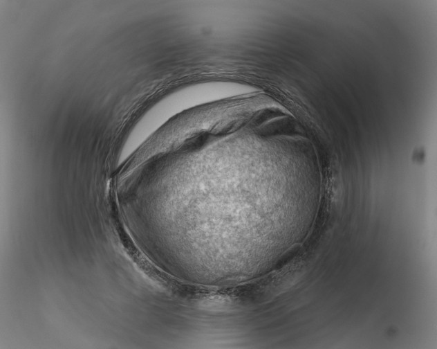 X0000116340593200912221442