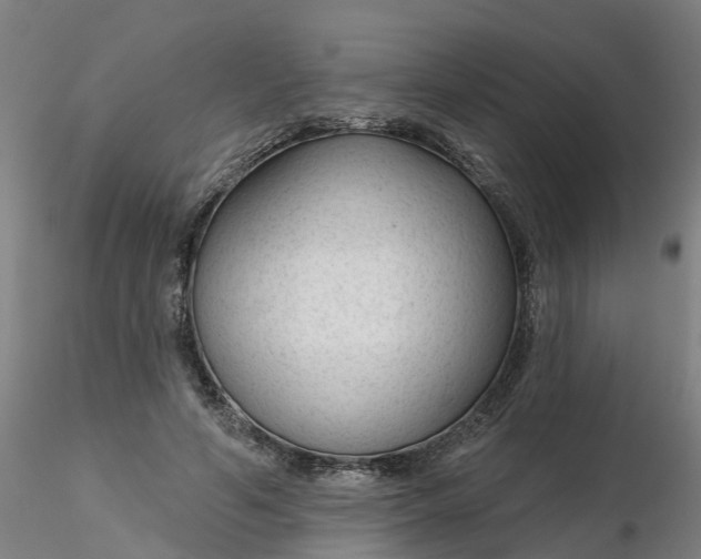 X0000116340594200912221442